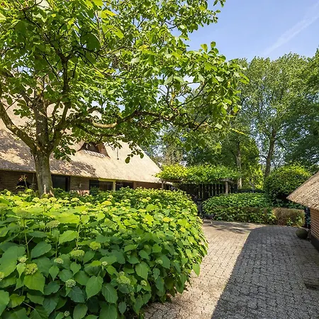 Couette-café Landelijke Hofstee Met Jacuzzi En Zwembad Lunteren