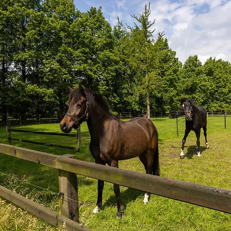 Landelijke Hofstee Met Jacuzzi En Zwembad Lunteren