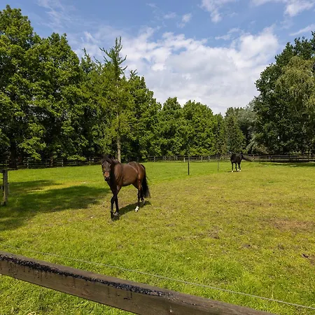 Landelijke Hofstee Met Jacuzzi En Zwembad Couette-café Lunteren