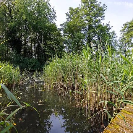 Landelijke Hofstee Met Jacuzzi En Zwembad Couette-café