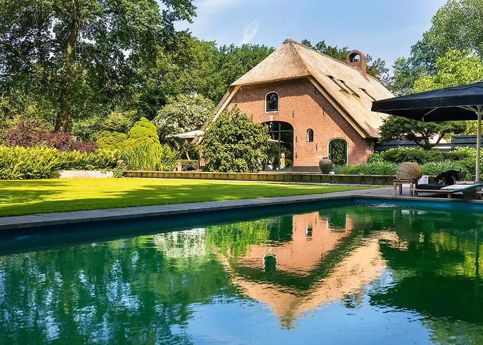 Luxe Veluwse Bosrand Met Jacuzzi En Zwembad Bed & Breakfast