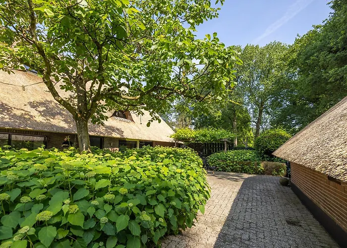 Bed & Breakfast Luxe Veluwse Bosrand Met Jacuzzi En Zwembad Lunteren