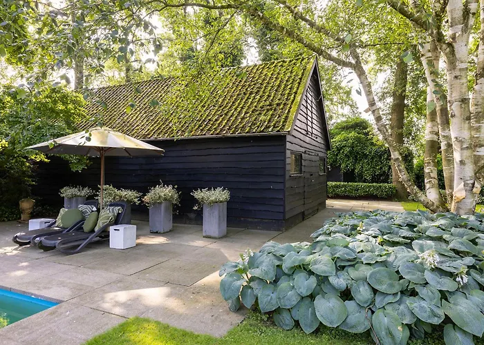 Luxe Veluwse Bosrand Met Jacuzzi En Zwembad Bed & Breakfast