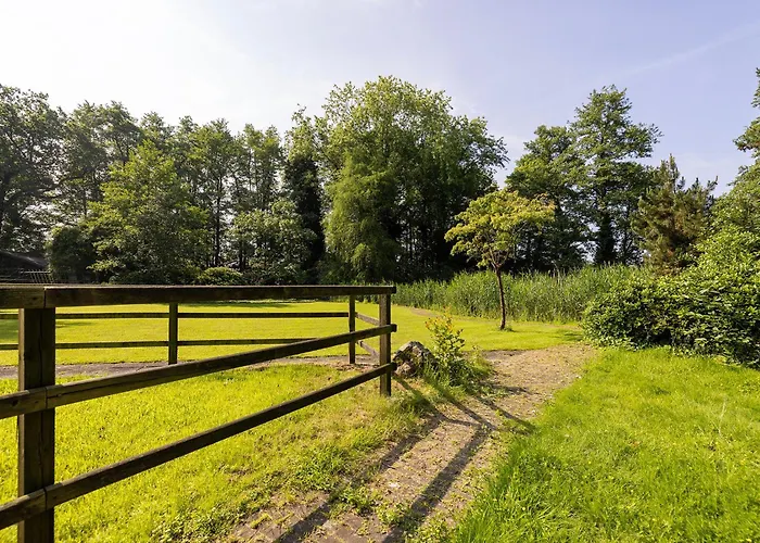 Luxe Veluwse Bosrand Met Jacuzzi En Zwembad * Lunteren
