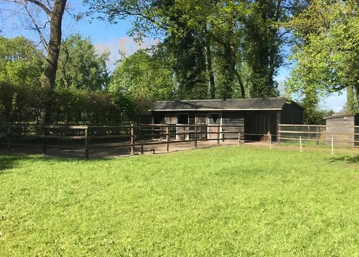 Luxe Veluwse Bosrand Met Jacuzzi En Zwembad Bed & Breakfast