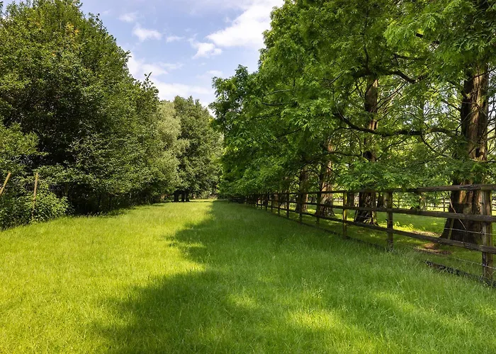 Luxe Veluwse Bosrand Met Jacuzzi En Zwembad Bed & Breakfast Lunteren