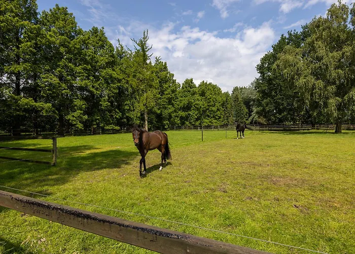 Veluwse Bosrand Bed & Breakfast Lunteren