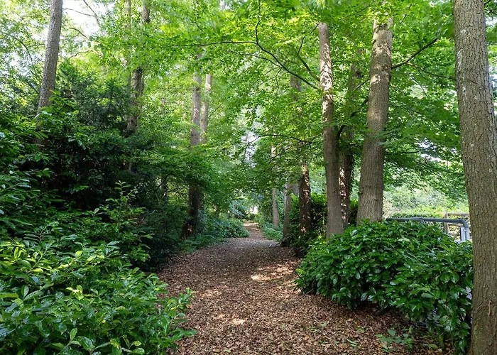 Veluwse Bosrand Lunteren