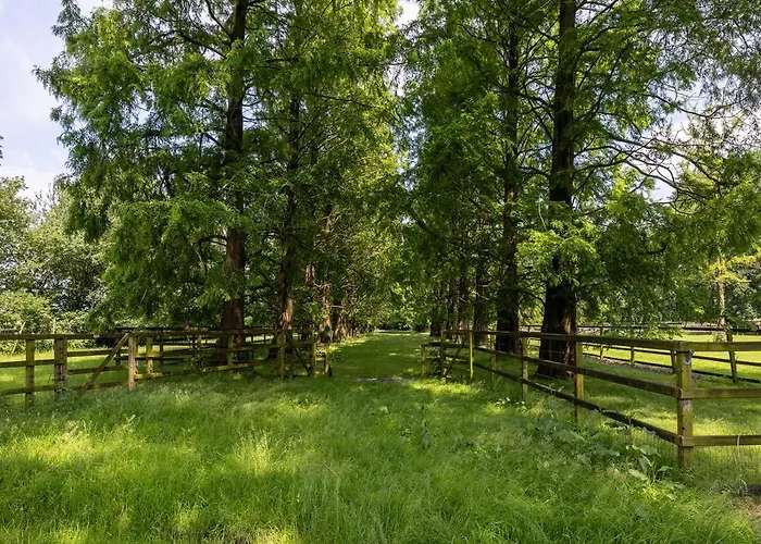 Luxe Veluwse Bosrand Met Jacuzzi En Zwembad *