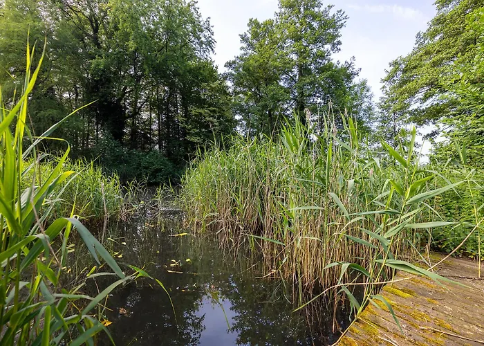 Luxe Veluwse Bosrand Met Jacuzzi En Zwembad Bed & Breakfast