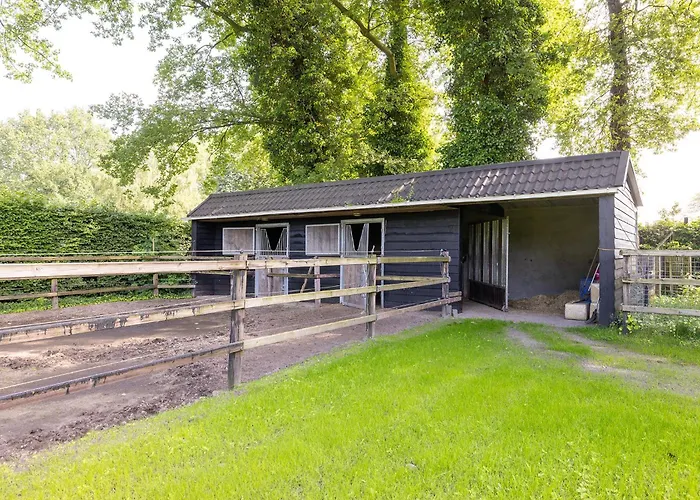 Veluwse Bosrand Bed & Breakfast *