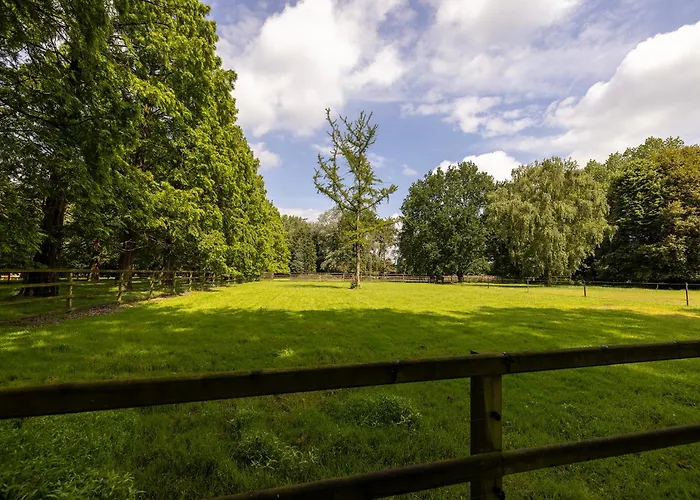 Veluwse Bosrand Lunteren
